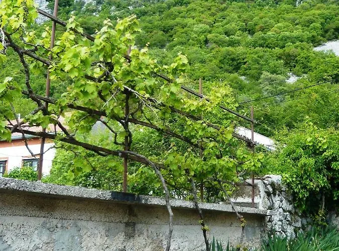Mirossi Felice * Grižane