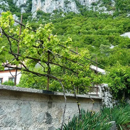 Mirossi Felice * Grižane